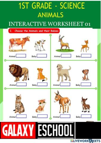 1st-science-ps01-animals-Galaxy