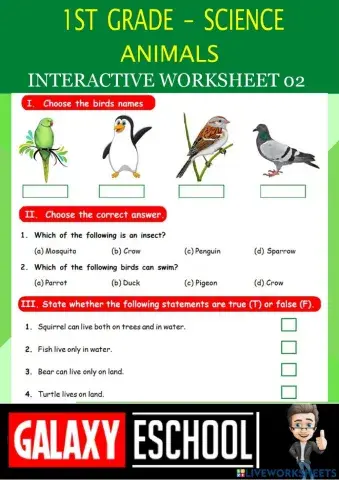 1st-science-ps02-animals-Galaxy