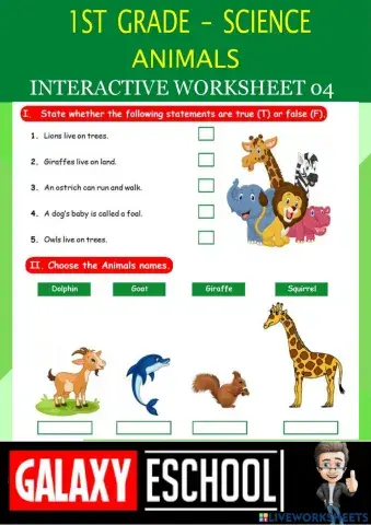 1st-science-ps04-animals-Galaxy