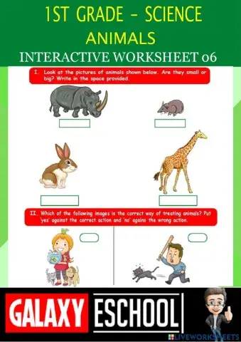 1st-science-ps06-animals-Galaxy