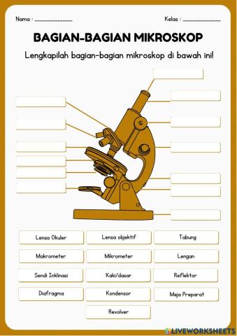 Pengenalan Bagian Mikroskop dan Fungsinya
