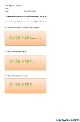 Sistem Reproduksi Manusia