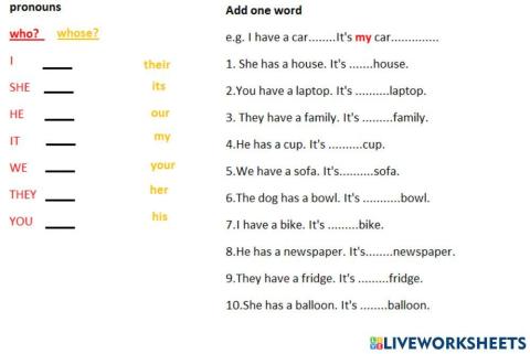 Possessive adjectives