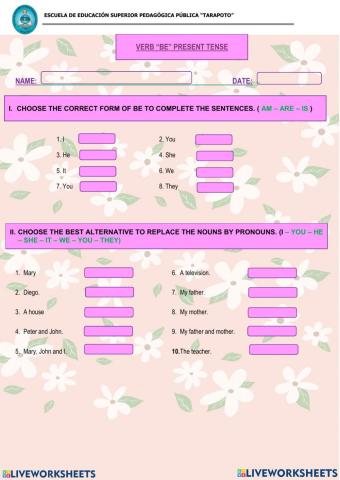 Verb -be- present tense