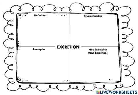 Frayer model on excretion