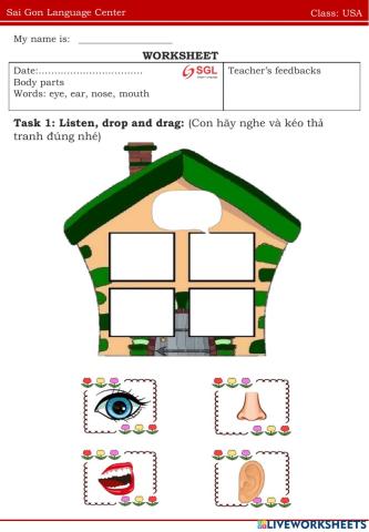 Usa eye, ear, nose, mouth 03.07