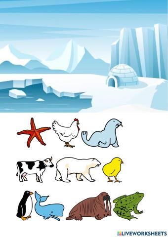 Los animales del Ártico