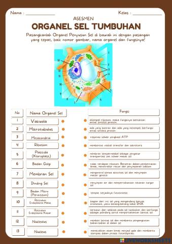 Asesmen Sel Tumbuhan