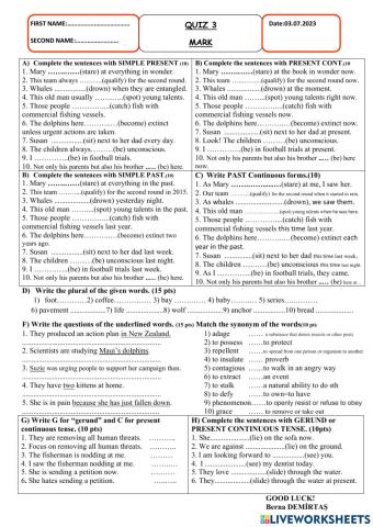 Zeynep Hanım -quiz-3