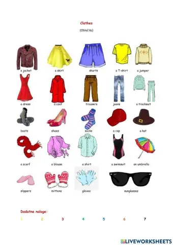 Clothes