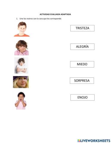 Evaluación adaptada sobre emociones
