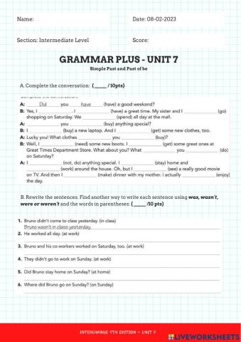 Grammar Plus- Unit 7