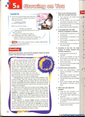 Stars and Stripes Unit 5 REading and Vocabulary