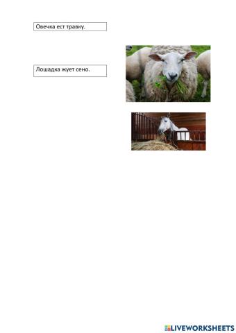 Учимся читать!