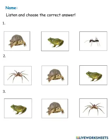 Everybody Up 1 - Unit 5