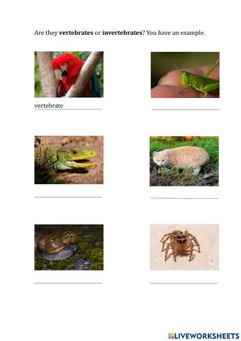 Vertebrate and invertebrate animals
