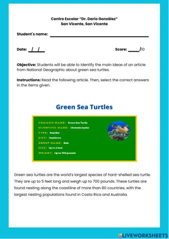 Green Sea Turtles Reading