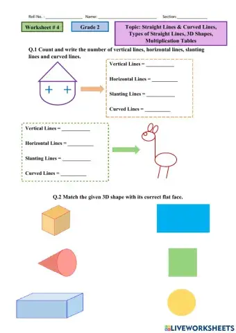 Straight Lines & Curved Lines, 3D Shapes