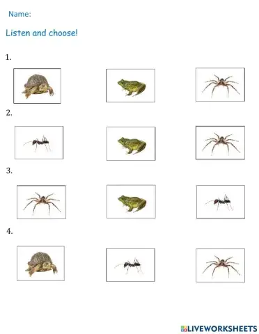 Everybody Up 1 - Unit 5