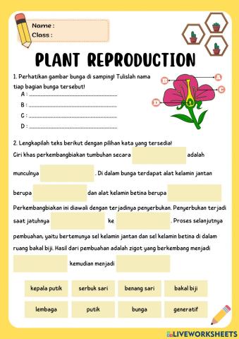 Plants Reproduction
