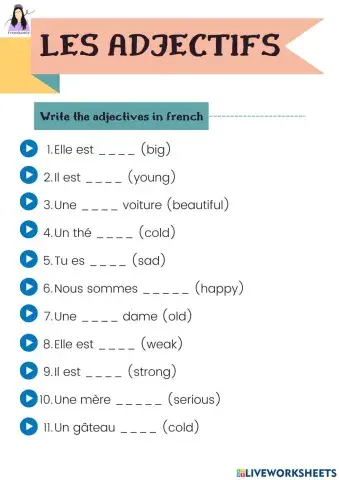 Les adjectifs