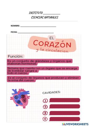 Sistemas de nutrición del cuerpo