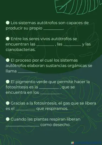 La nutrición en las plantas