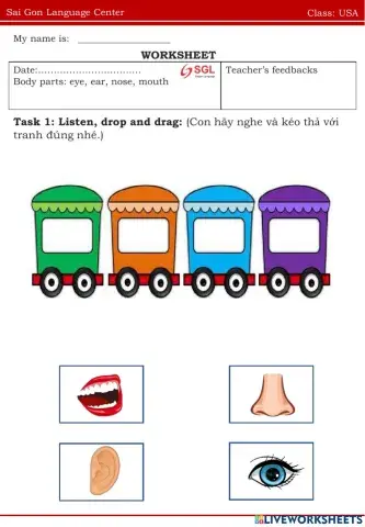 Usa review eye, ear, nose, mouth