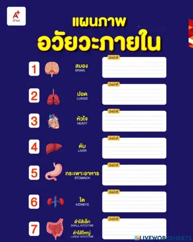 สุขศึกษา