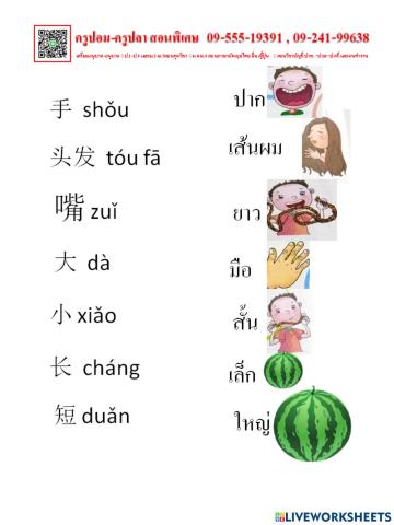 ภาษาจีน บทที่ 1 ตอนที่ 1