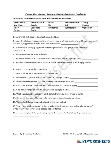 worksheet tumbnail