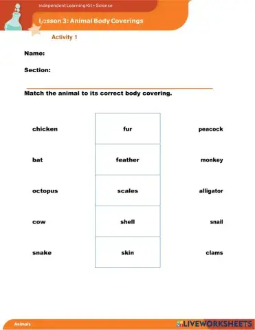 worksheet tumbnail