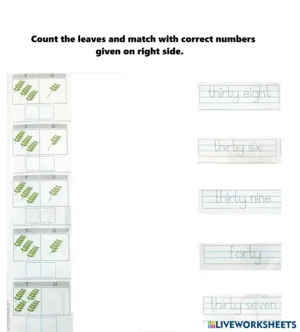 worksheet tumbnail