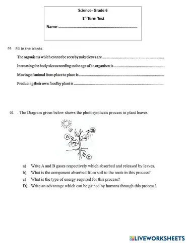 worksheet tumbnail