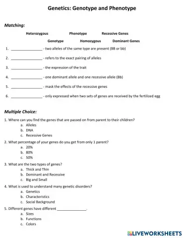worksheet tumbnail