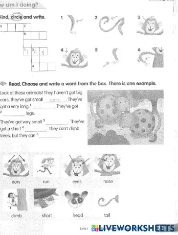 worksheet tumbnail