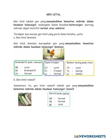 worksheet tumbnail