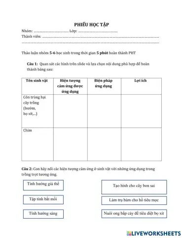 worksheet tumbnail