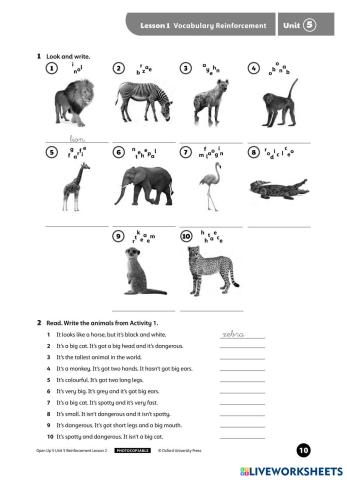 worksheet tumbnail