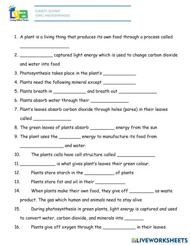 worksheet tumbnail