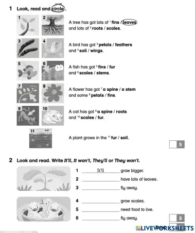 worksheet tumbnail