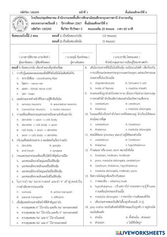 worksheet tumbnail