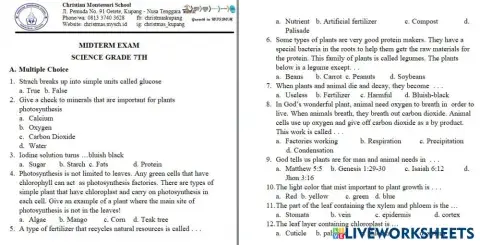 worksheet tumbnail