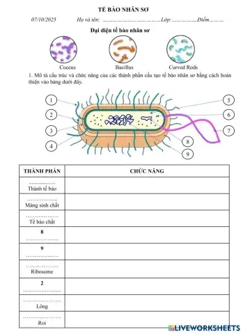 worksheet tumbnail