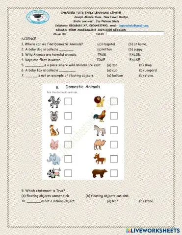 worksheet tumbnail