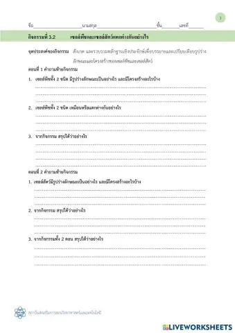 worksheet tumbnail
