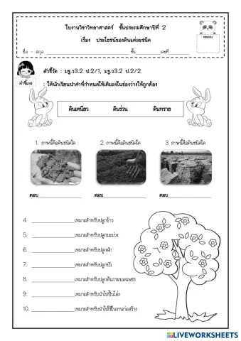 worksheet tumbnail