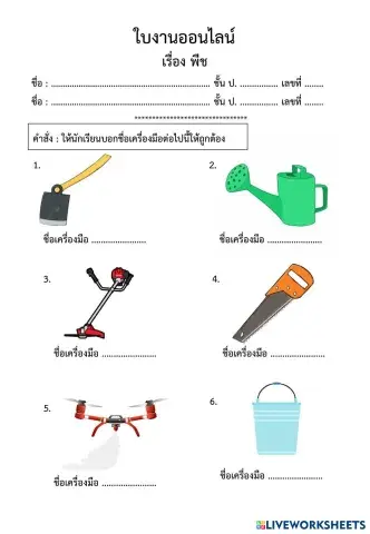 worksheet tumbnail