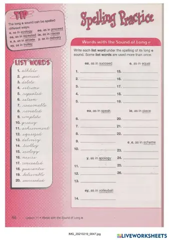 worksheet tumbnail
