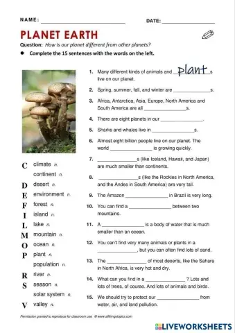 worksheet tumbnail